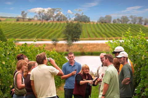 Yarra Valley Wine And Winery Tour From Melbourne - Coogee Beach Accommodation 0