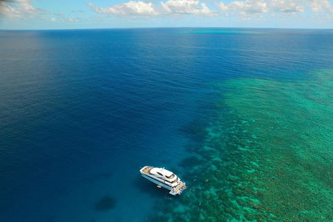 Great Barrier Reef Snorkeling And Diving Cruise From Cairns - Coogee Beach Accommodation 4