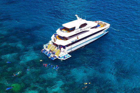 Great Barrier Reef Snorkeling And Diving Cruise From Cairns - Coogee Beach Accommodation 5