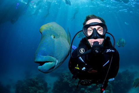 Full Day Reef Cruise Including 10 Minute Heli Scenic Flight: Get High Package - Coogee Beach Accommodation 1