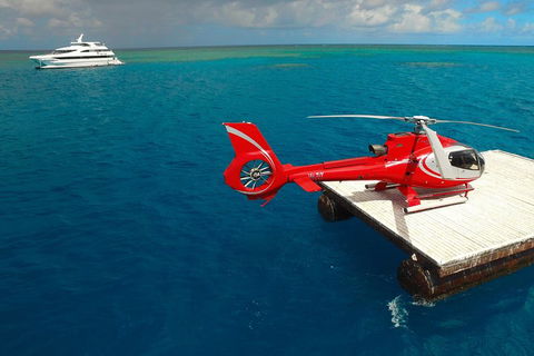 Full Day Reef Cruise Including 10 Minute Heli Scenic Flight: Get High Package - Coogee Beach Accommodation 3