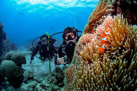Full Day Reef Cruise Including 10 Minute Heli Scenic Flight: Get High Package - Coogee Beach Accommodation 5