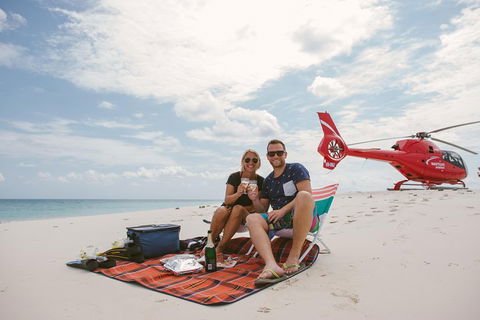 Private Helicopter Tour: Reef Island Snorkeling And Gourmet Picnic Lunch - Coogee Beach Accommodation 1