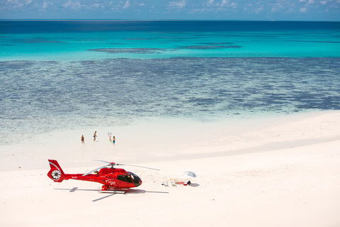 Private Helicopter Tour: Reef Island Snorkeling And Gourmet Picnic Lunch - Coogee Beach Accommodation 2