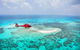 Private Helicopter Tour: Reef Island Snorkeling And Gourmet Picnic Lunch - thumb 5