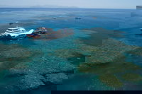 Cruise to Moore Reef Pontoon and Return Helicopter Flight from Cairns