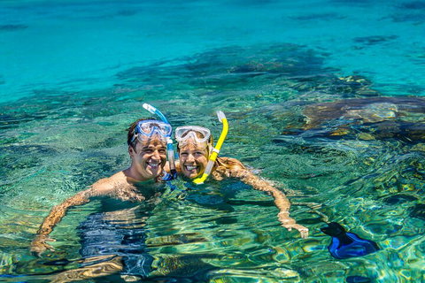 Fly To Green Island - Cruise Return - Coogee Beach Accommodation 2