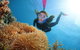 Helicopter And Cruise Packages From Port Douglas - thumb 3