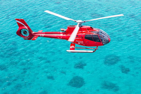 Helicopter And Cruise Packages From Port Douglas - Coogee Beach Accommodation 5