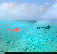 Port Douglas Scenic Flights - Coogee Beach Accommodation