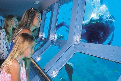 Port Douglas - Cruise And 10 Minute Scenic Flight - Coogee Beach Accommodation 0