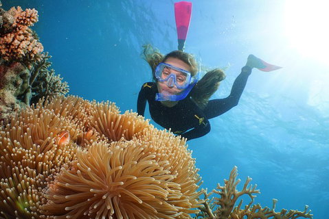 Port Douglas - Cruise And 10 Minute Scenic Flight - Coogee Beach Accommodation 3