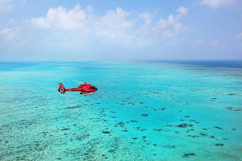 Great Barrier Reef 30-Minute Scenic Helicopter Tour From Cairns - Coogee Beach Accommodation 2