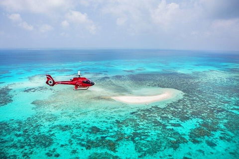 Great Barrier Reef 30-Minute Scenic Helicopter Tour From Cairns - Coogee Beach Accommodation 4
