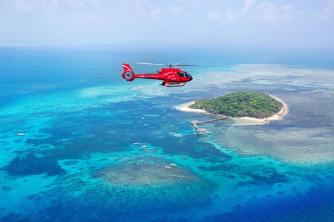 Ultimate Great Barrier Reef And Rainforest 45-minute Helicopter Tour - Coogee Beach Accommodation 4