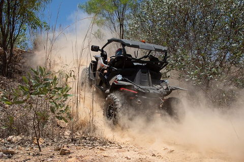 License To Thrill: 1.5 Hour Off-road Tour In Darwin (1 Person: 2 Seater Vehicle) - Coogee Beach Accommodation 3
