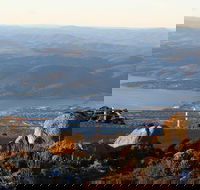 Mt. Wellington Bonorong and Richmond Day Tour from Hobart - Coogee Beach Accommodation