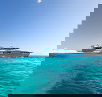 Fremantle to Rottnest Island Roundtrip Ferry Ticket - Coogee Beach Accommodation