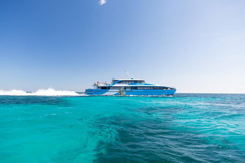 Rottnest Island All-Inclusive Grand Island Tour From Fremantle - Coogee Beach Accommodation 0
