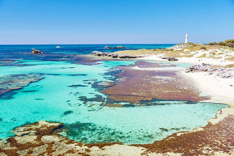 Rottnest Island All-Inclusive Grand Island Tour From Fremantle - Coogee Beach Accommodation 1