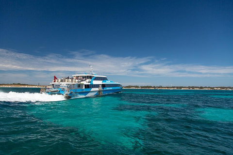 Rottnest Island All-Inclusive Grand Island Tour From Fremantle - Coogee Beach Accommodation 3