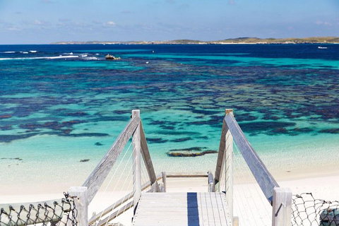 Rottnest Island All-Inclusive Grand Island Tour From Fremantle - Coogee Beach Accommodation 4