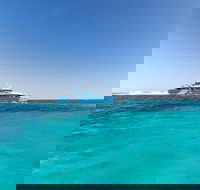Rottnest Island Fortress Adventure Segway Package from Fremantle - Coogee Beach Accommodation