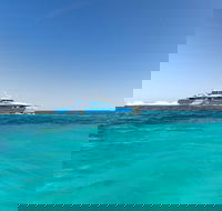 Rottnest Island Bayseeker Day Trip from Perth - Coogee Beach Accommodation