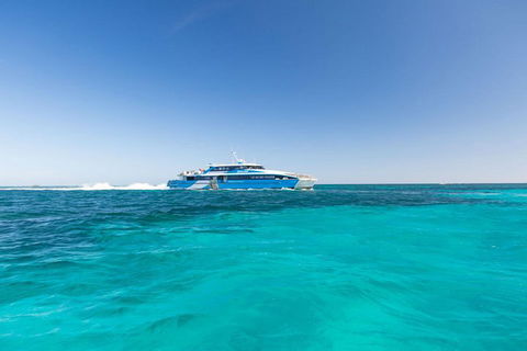 Rottnest Island Settlement Explorer Segway Package From Perth - Coogee Beach Accommodation 1