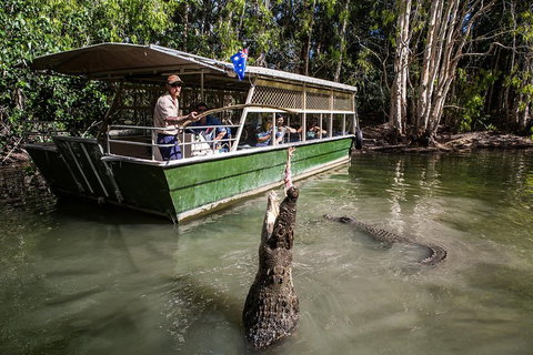 Hartley's Crocodile Adventures Day Trip From Palm Cove - Coogee Beach Accommodation 2