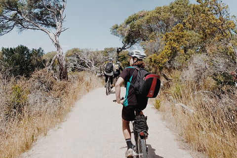 Self-Guided Point Nepean National Park Bike Hire - Coogee Beach Accommodation 0