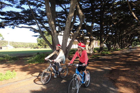 Self-Guided Point Nepean National Park Bike Hire - Coogee Beach Accommodation 2