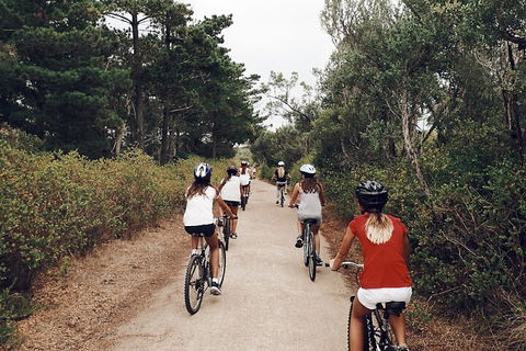 Self-Guided Point Nepean National Park Bike Hire - Coogee Beach Accommodation 3