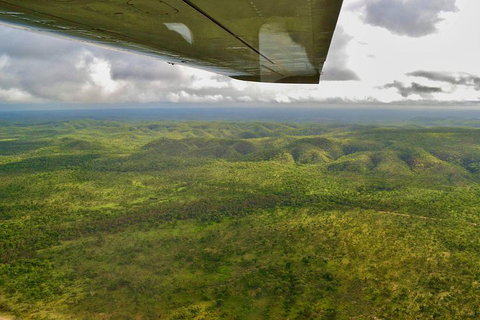 Litchfield Park & Daly River - Scenic Flight From Darwin - Coogee Beach Accommodation 2