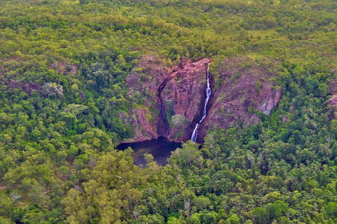 Litchfield Park Scenic Flight From Darwin - Coogee Beach Accommodation 1