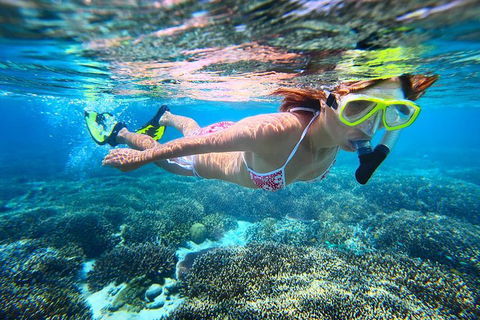 Abrolhos Islands Scenic Flight & Snorkel Adventure From Perth - Coogee Beach Accommodation 1