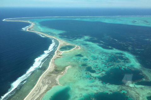 Abrolhos Islands Scenic Flight & Snorkel Adventure From Perth - Coogee Beach Accommodation 2