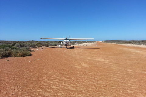 Abrolhos Islands Scenic Flight & Snorkel Adventure From Perth - Coogee Beach Accommodation 3