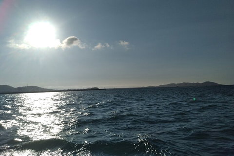 Townsville Small Group Early Morning Sailing Cruise Boat Tour Charter Hire - Coogee Beach Accommodation 4