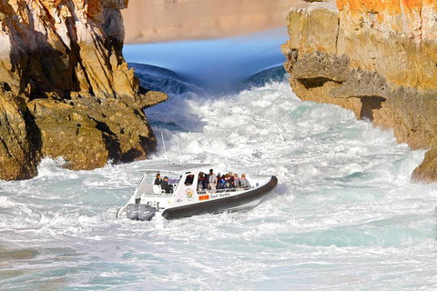 Horizontal Falls Half-Day Tour From Broome - Coogee Beach Accommodation 1