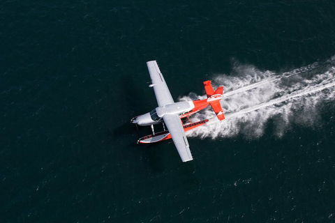 Lunch At Cottage Point Inn By Seaplane From Sydney - Coogee Beach Accommodation 2