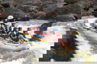 Barron River Half-Day White Water Rafting from Cairns, Palm Cove