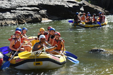 Barron River Half-Day White Water Rafting From Cairns - Coogee Beach Accommodation 4