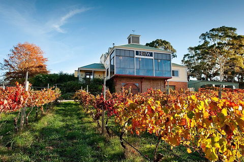 Adelaide Hills Food, Wine, Cheese, & Chocolate - Private Day Tour - Coogee Beach Accommodation 3