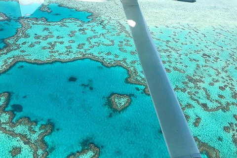 Whitsunday Islands 1-Hour Reef Scenic Helicopter Tour - Coogee Beach Accommodation 3