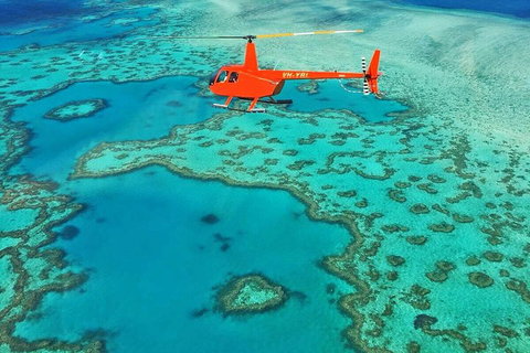 Whitehaven Heli Tour - Coogee Beach Accommodation 3