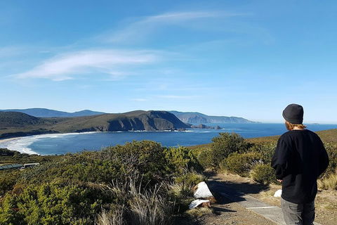Small-Group Day Trip From Hobart To Bruny Island - Coogee Beach Accommodation 0