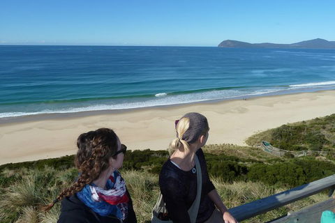 Small-Group Day Trip From Hobart To Bruny Island - Coogee Beach Accommodation 3
