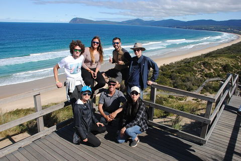 Small-Group Day Trip From Hobart To Bruny Island - Coogee Beach Accommodation 4