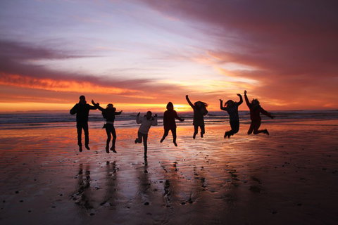 6-Day Tasmanian Explorer Adventure Tour From Hobart - Coogee Beach Accommodation 3